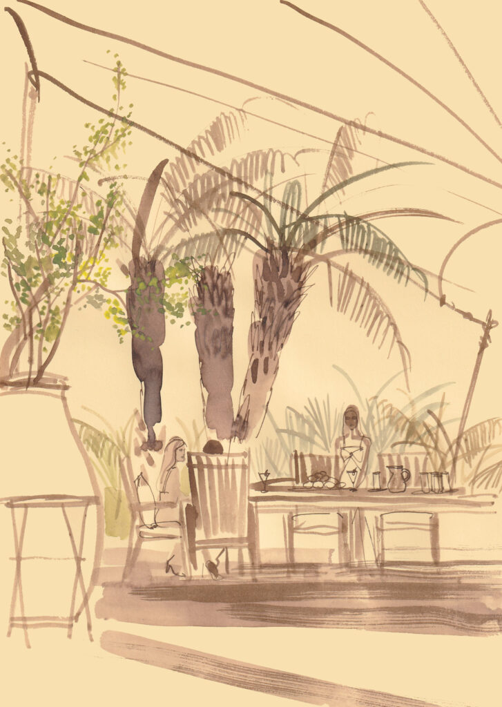 fashion and design illustration luxury brand illustration