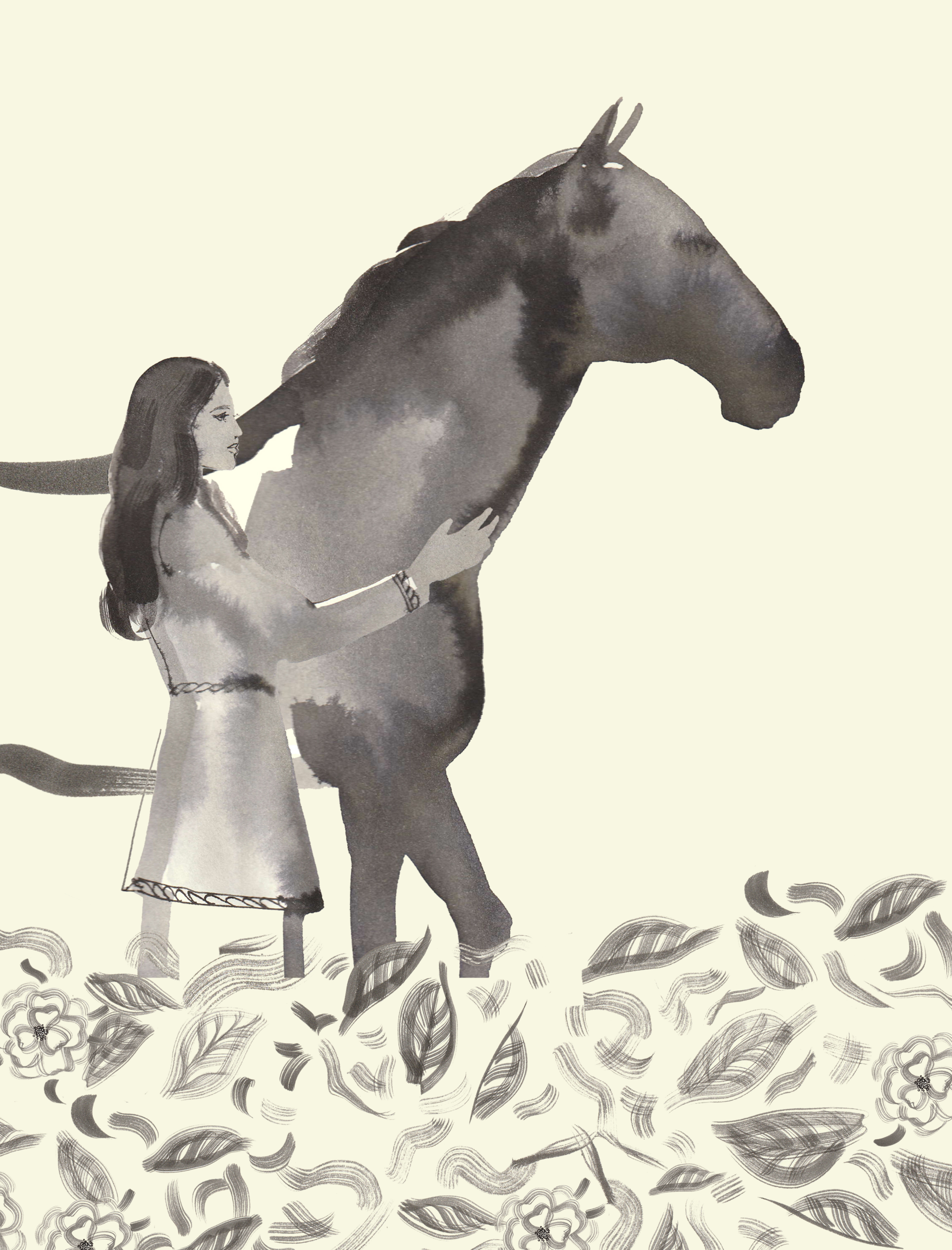 horse illustration